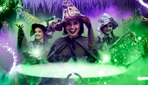 Halloween Witches At Chessington