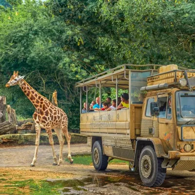 ZUFARI At Chessington World Of Adventures Resort Copy