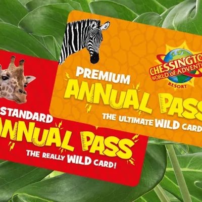 LAP Cards