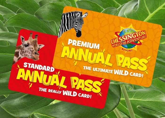 Book Tickets Now at Chessington World of Adventures Resort