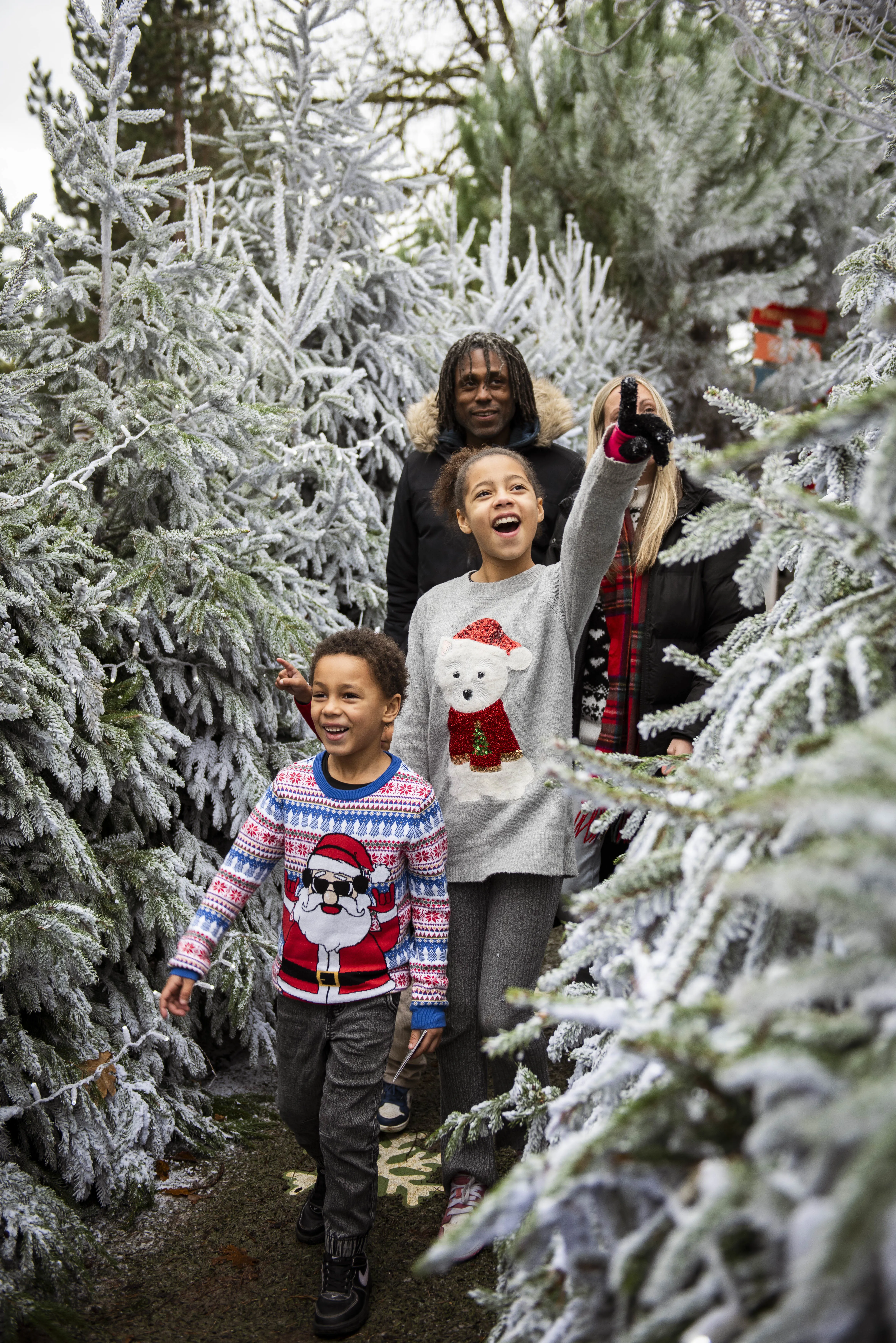 Family Walking Through Snow Covered Trees