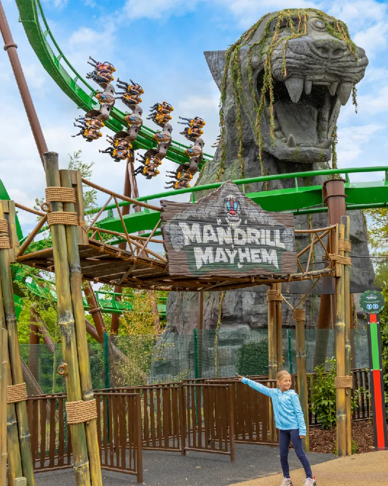 Mandrill Mayhem Mobile Version 800X1000px 01