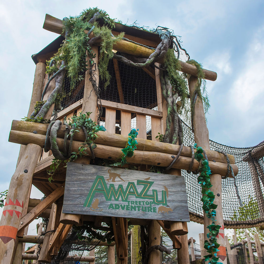 AMAZU Treetop Adventure at Chessington World of Adventures