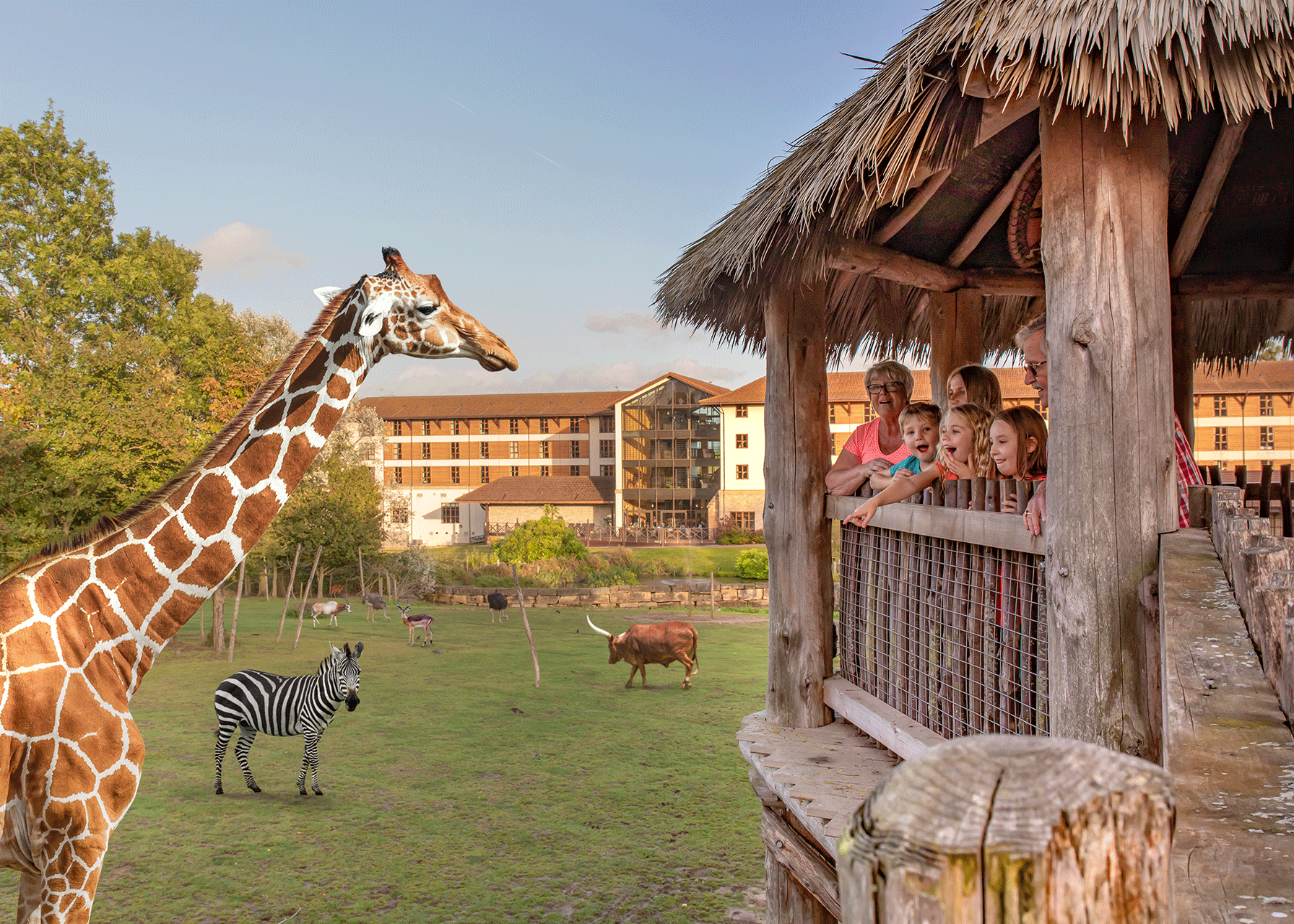 Chessington Zoo Giraffe Encounter