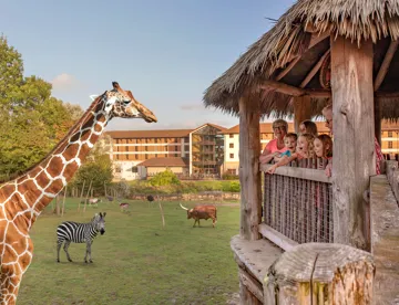 Chessington World Of Adventures Resort UK Theme Park Zoo chessington-world-of-adventures-resort-uk-theme-park-zoo