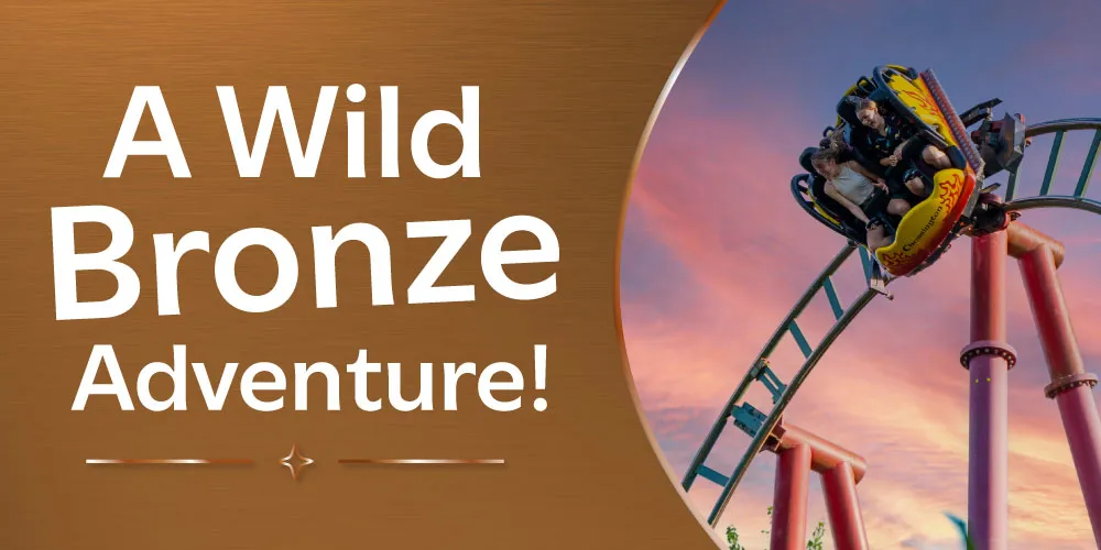 A Wild Bronze Adventure