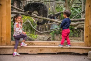 Pre-school children looking at Binturong in Chessington Zoo