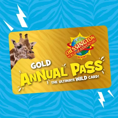 Chessington Annual Passes