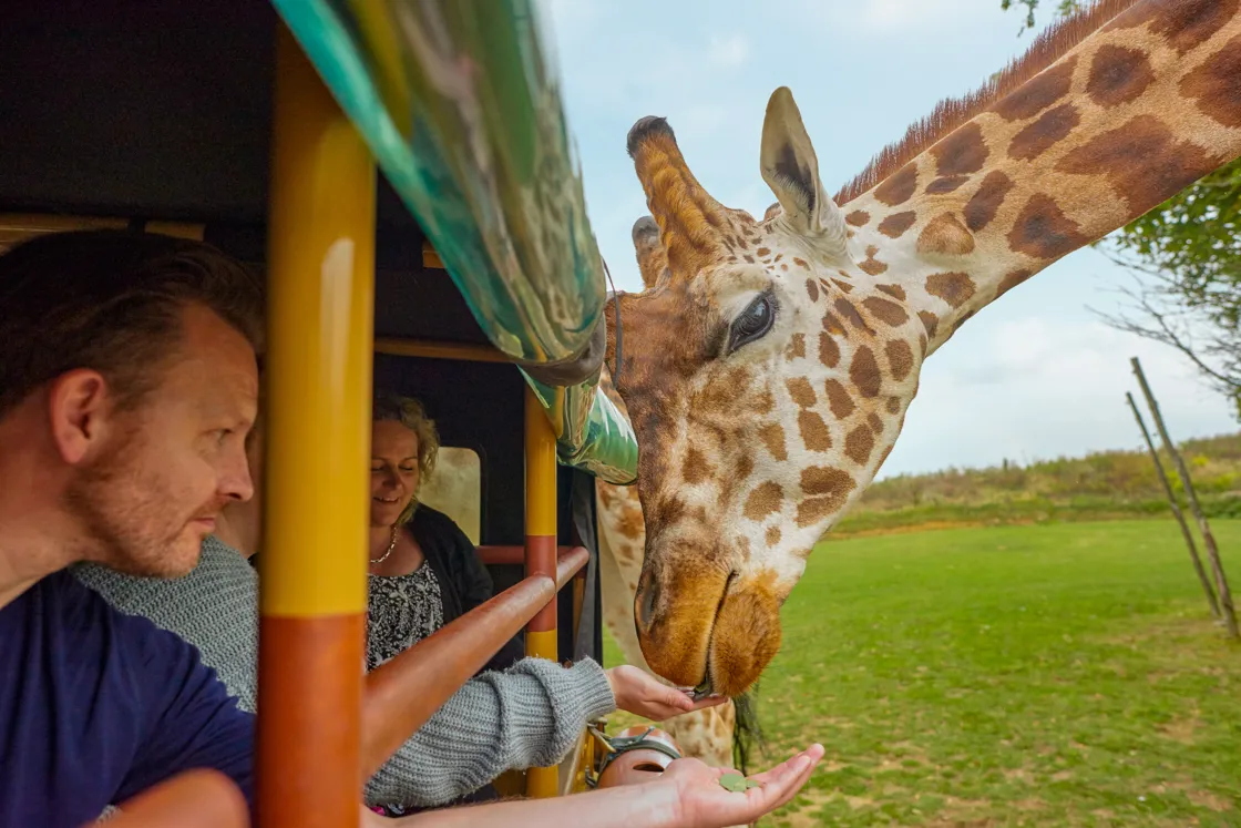Family Theme Park Zoo Sea LIFE Centre Chessington Family Theme Park Zoo Sea LIFE Centre Chessington