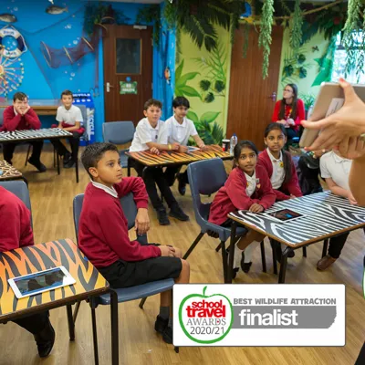 Schools Workshops