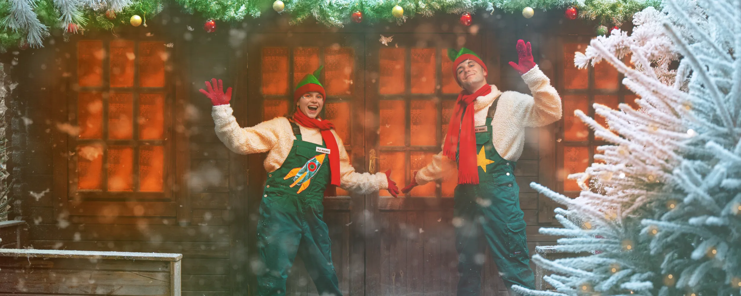 Grotto Elves