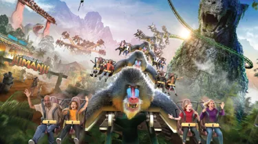 CW23 129 RESIZED WEBSITE JUMANJI Mandrill Mayhem