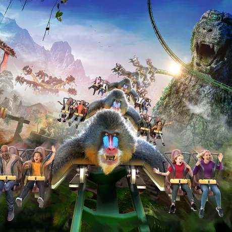 Mandrill mayhem World of Jumanji