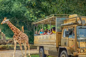 Zufari Family Animal Safari Experience