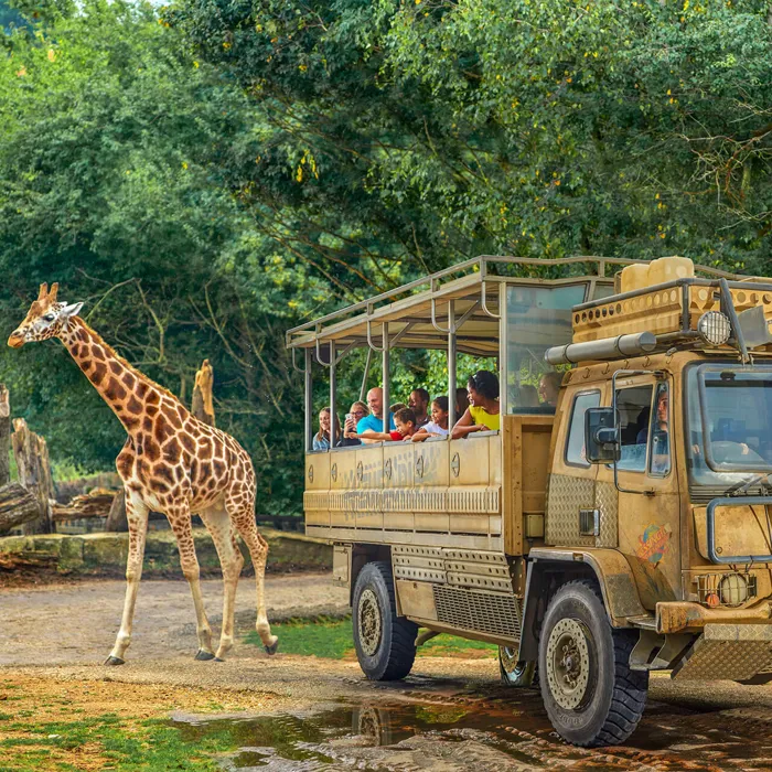 Zufari Family Animal Safari Experience