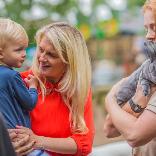 The Children's Zoo At Chessington World Of Adventures Resort (2)