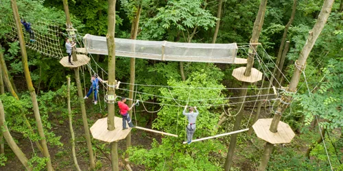 Go Ape Tree Top Adventure Chessington Resort Surrey