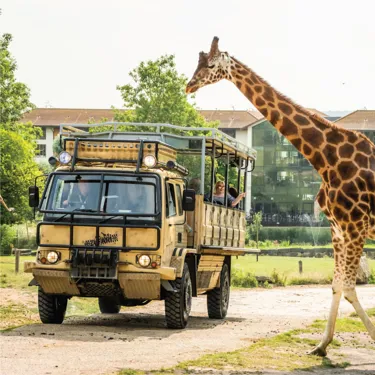 ZUFARI at Chessington World Of Adventures Resort