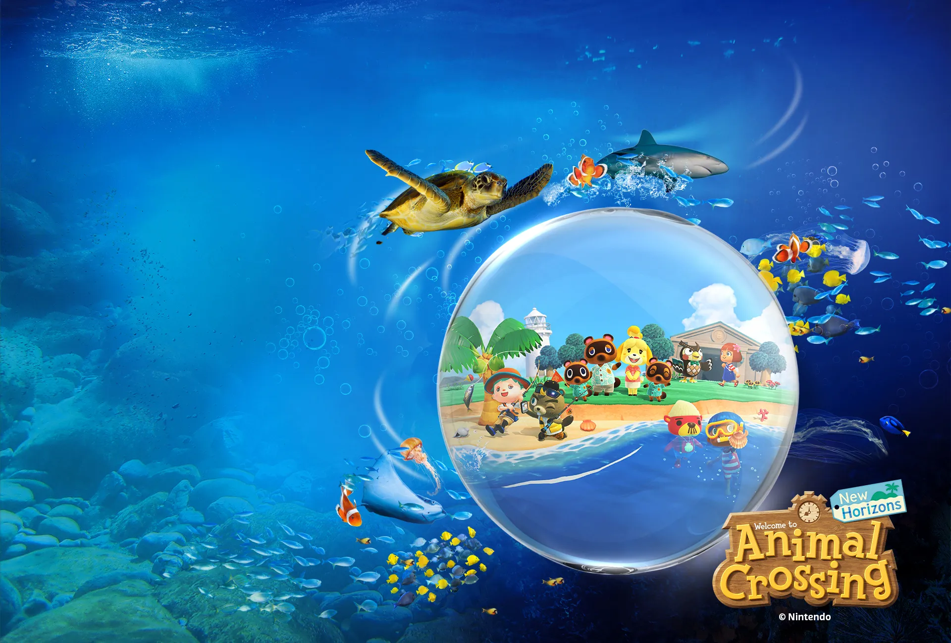1920X1300 Web Banner No Text